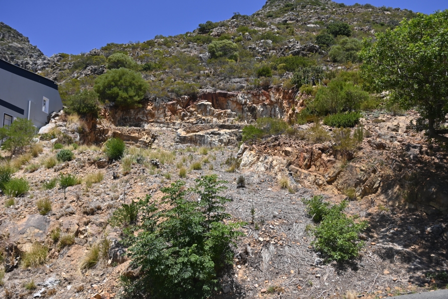 0 Bedroom Property for Sale in Mountainside Western Cape